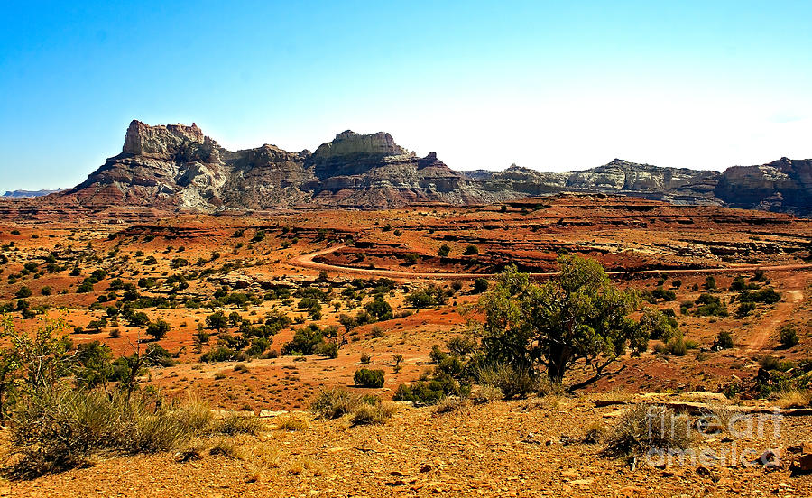 High Desert View Photograph by Robert Bales