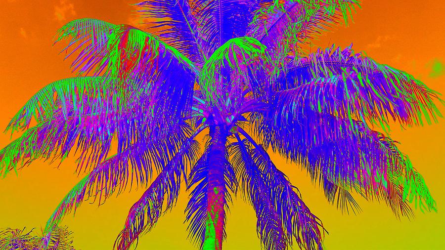High Fever Palm II Photograph by Florene Welebny