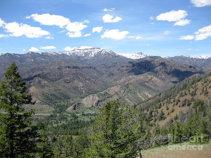 High in the Hills Photograph by Robin Raible | Fine Art America