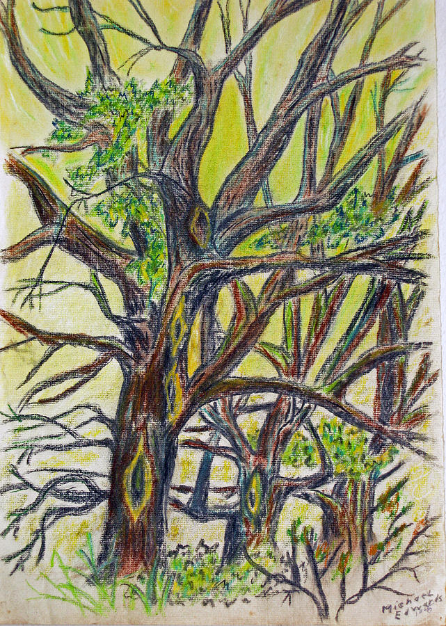 High in the Trees Pastel by Michael Anthony Edwards