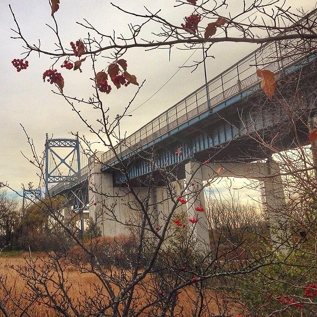 Bridge Photograph - High Level At Low Level. 
#home by Eric Shanteau