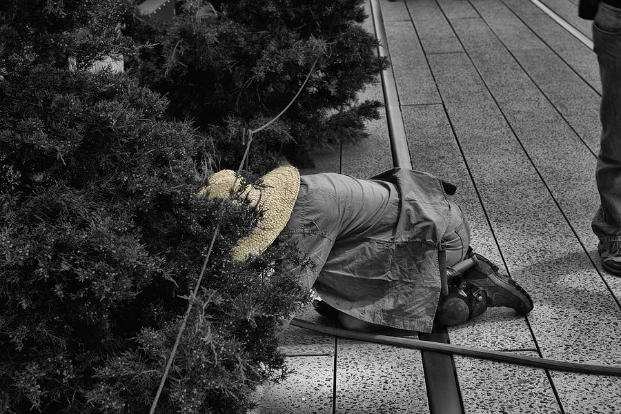 High Line and the Gardener Black and White Photograph by Evie Carrier