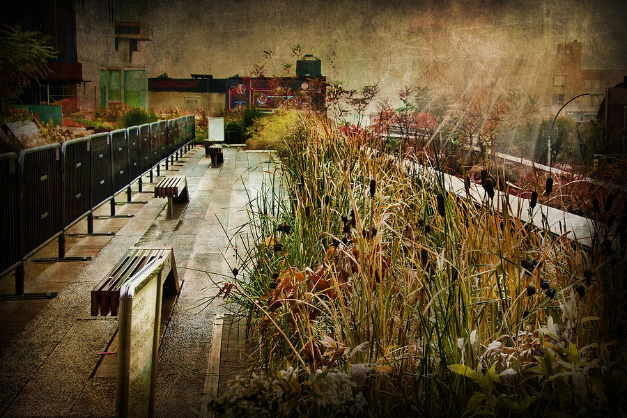 High Line Park in the Rain New York Photograph by Evie Carrier