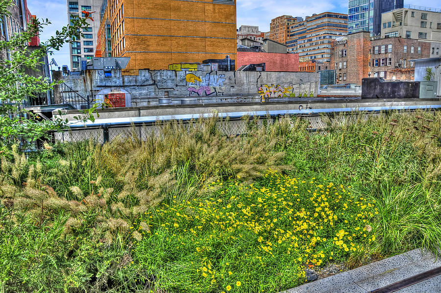 Flower Photograph - High Line Park Landscaping by Randy Aveille