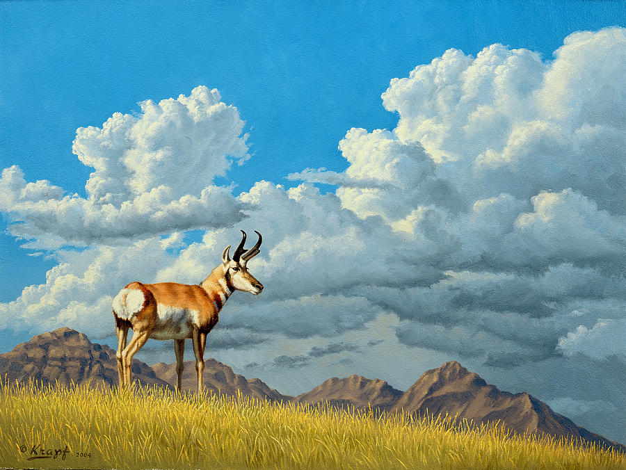 Mountain Painting - High Meadow - Pronghorn by Paul Krapf