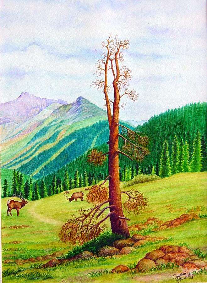 High Mountain Pasture Painting by Cynthia Stewart | Fine Art America