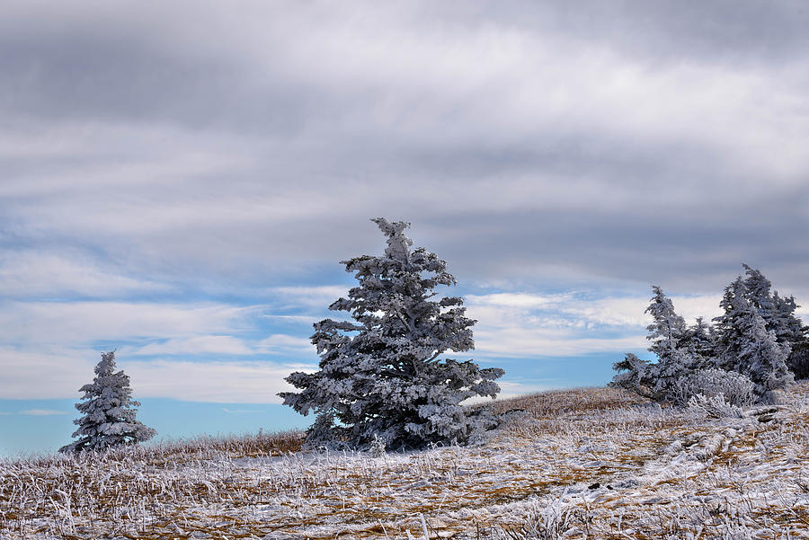 Winter Photograph - High On The Mountain by Serge Skiba