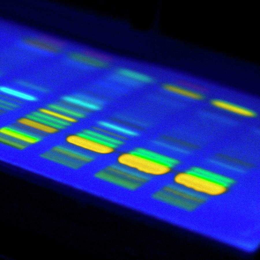 High-performance Chromatography Photograph by Ornl/science Photo Library