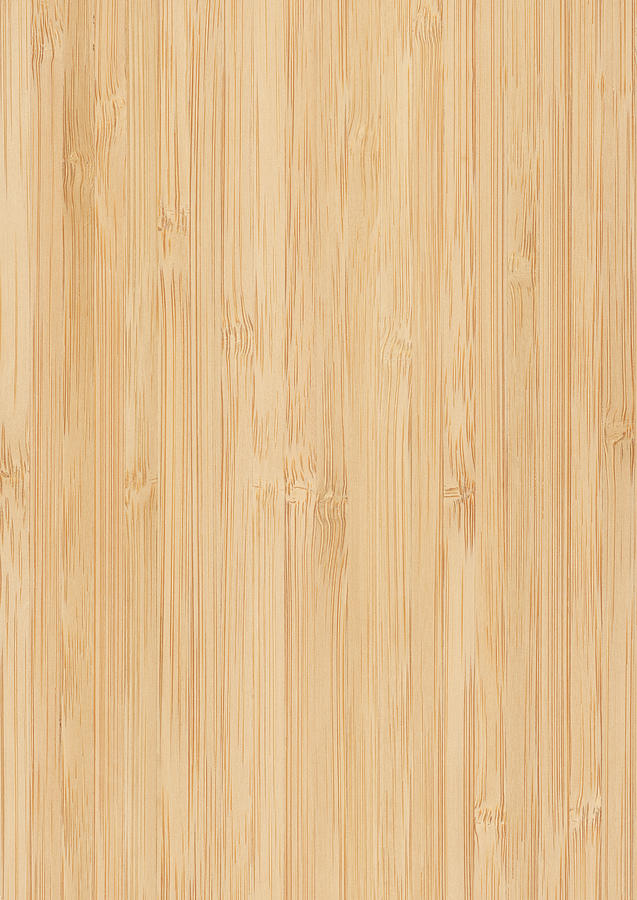 High resolution light-colored bamboo background Photograph by NickS