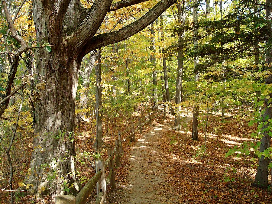 High Ridge Trail Photograph by BackHome Images | Fine Art America