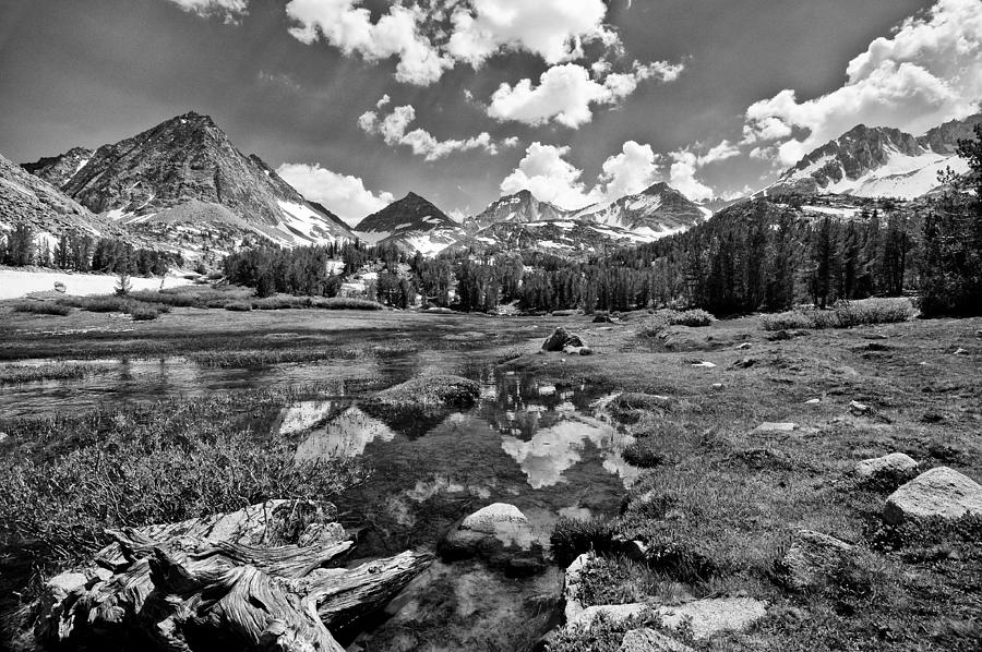 California Photograph - High Sierra Meadow by Cat Connor