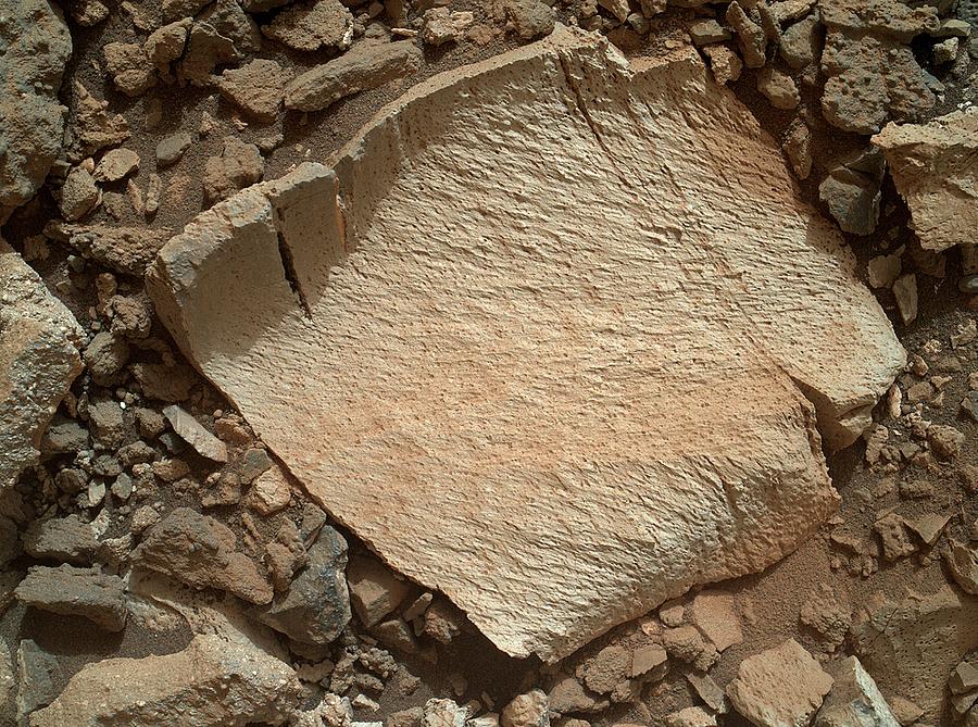 High-silica Rock On Mars Photograph by Nasa/jpl-caltech/msss