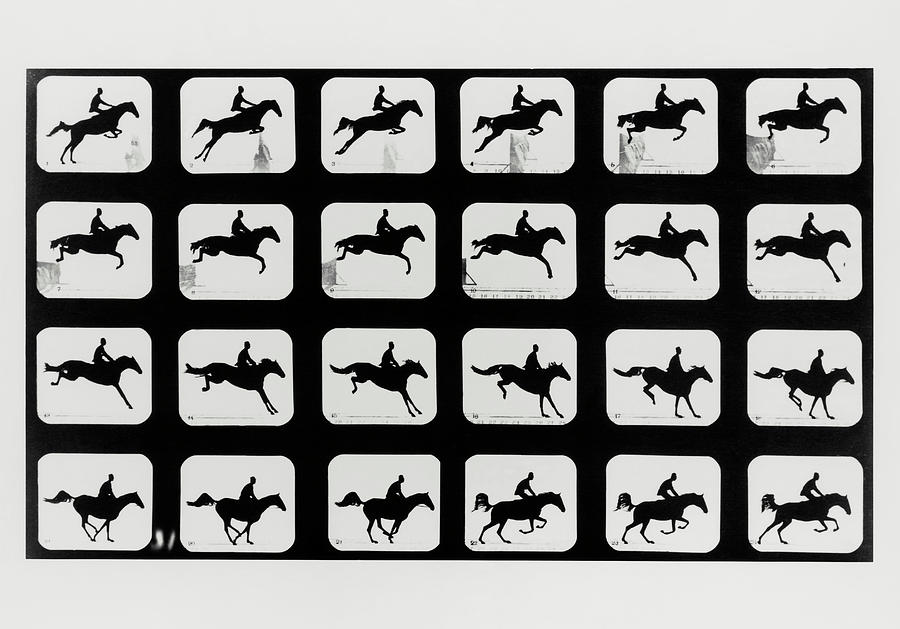 High-speed Sequence Of A Silhouetted Jumping Horse Photograph by Eadweard  Muybridge Collection/ Kingston Museum/science Photo Library - Fine Art  America