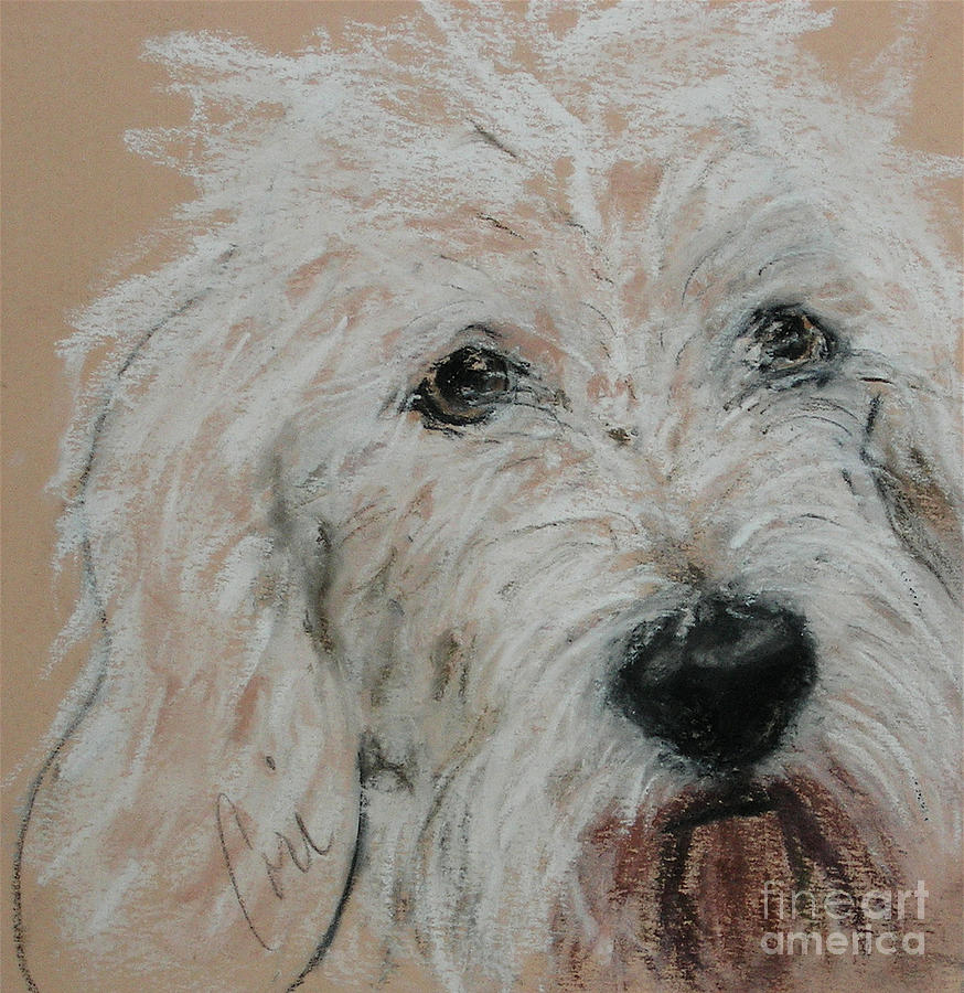 Dog Pastel - High Spirits by Cori Solomon