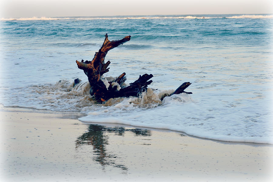 High Tide Photograph by It's An African Life - Fine Art America