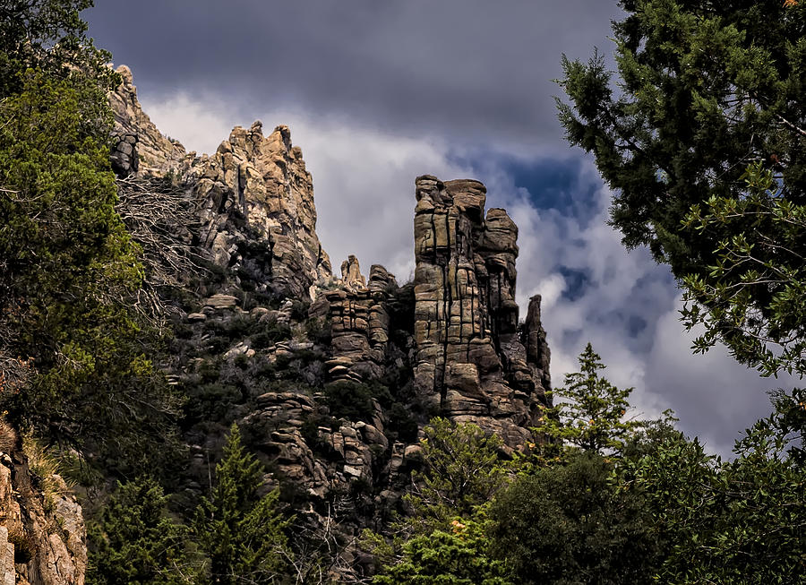 Tucson Photograph - High Towers by Mark Myhaver