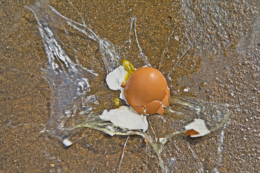 Egg Photograph - High Velocity Warning by Betsy Knapp
