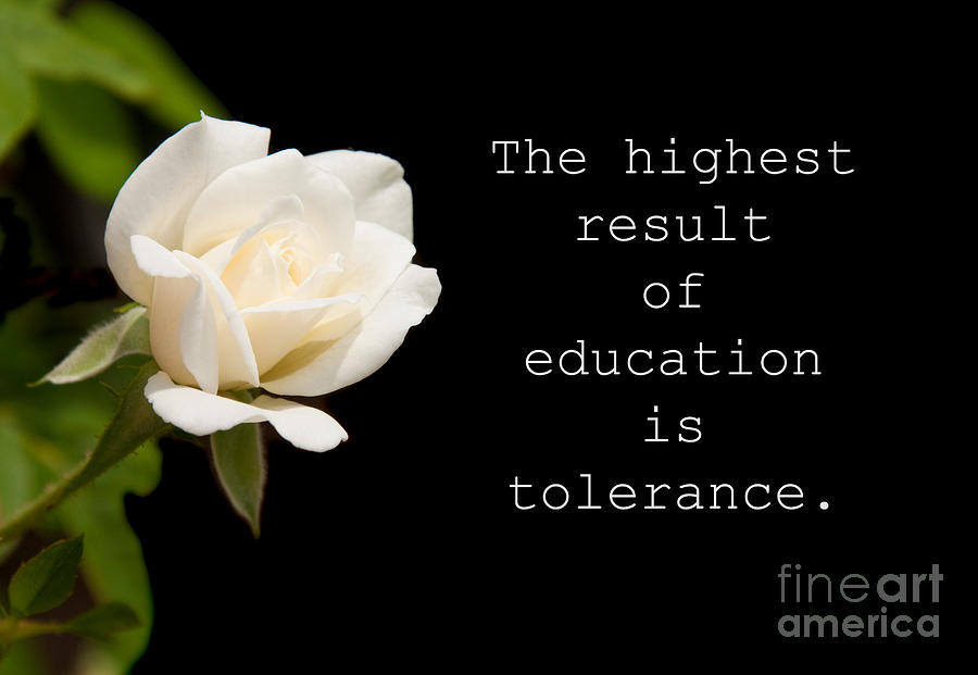 Highest result of education is tolerance Photograph by Sari ONeal