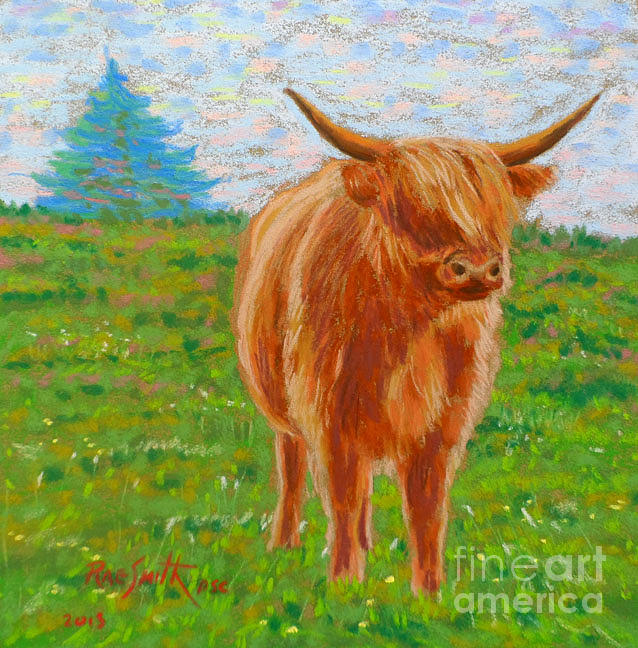 Highland Cattle -Tancook Island Pastel by Rae  Smith PSC