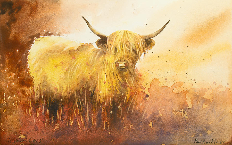 Wildlife Painting - Highland Cow 1 by Paul Dene Marlor