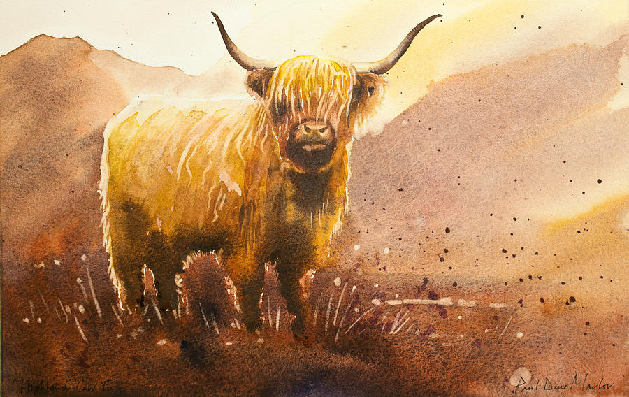 Highland Cow 2 Painting by Paul Dene Marlor