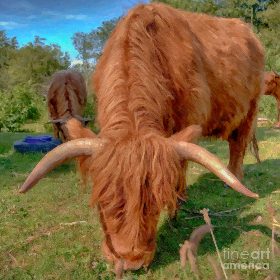 Highland Cow Painting Painting by Antony McAulay