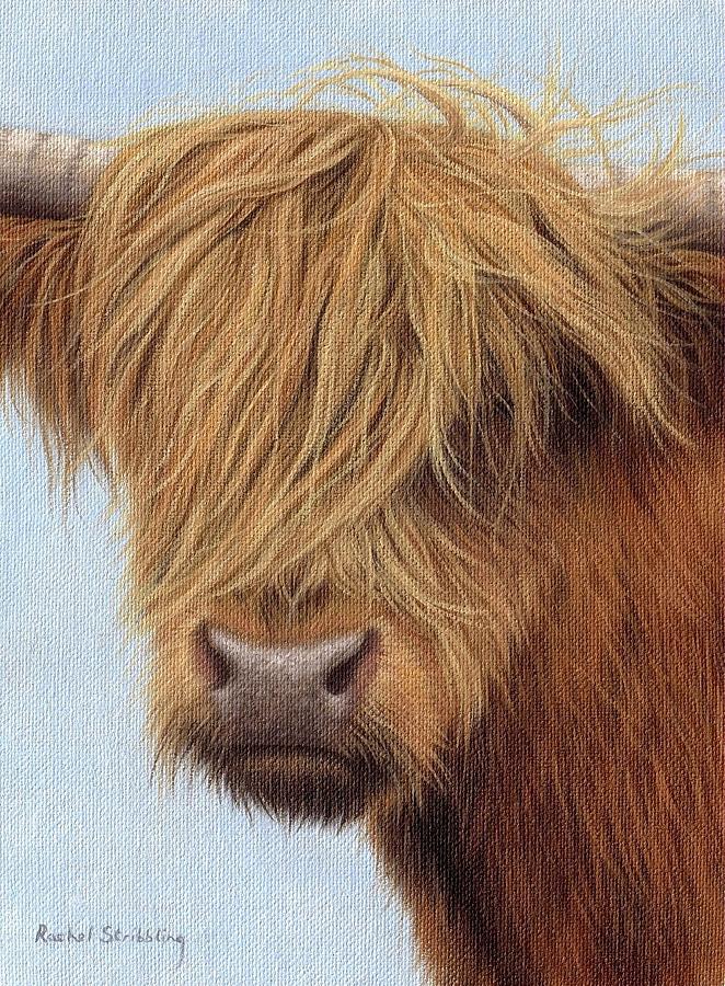 Highland Cow Painting Painting by Rachel Stribbling