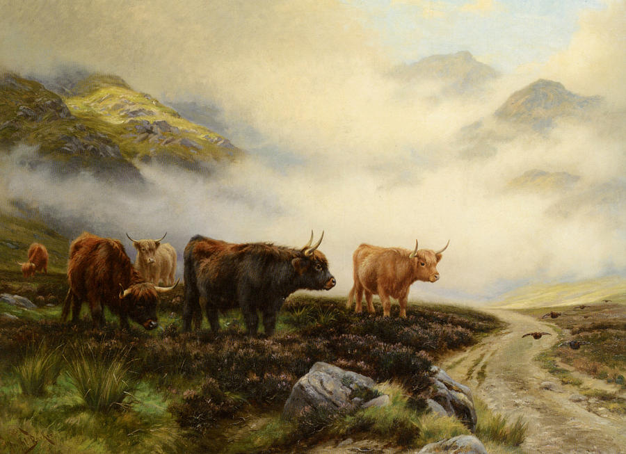 Highland Cows In A Pasture Photograph by Wright Barker