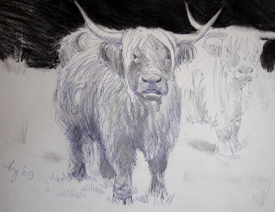 Highland Cows Drawing by Mike Jory