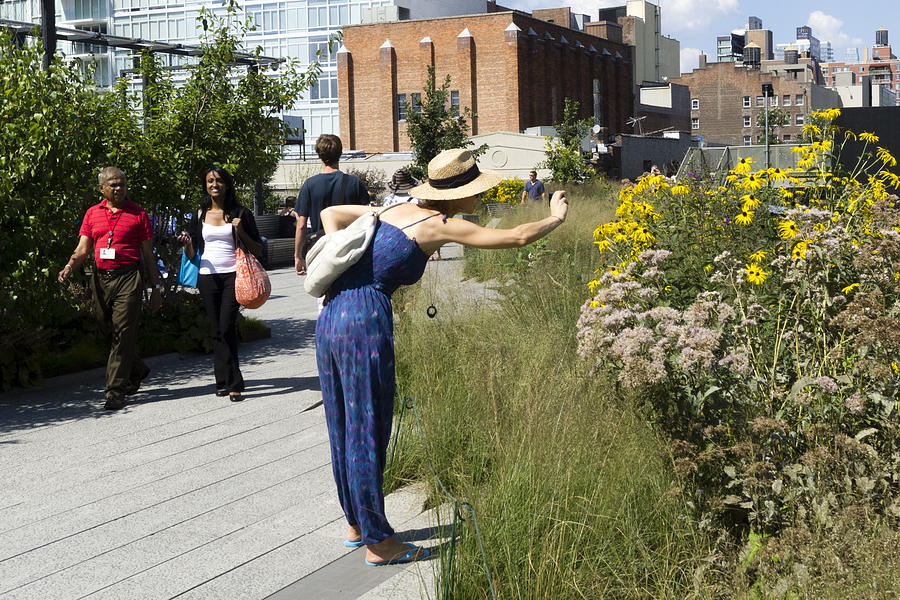 Highline Daisy Shoot Photograph by Frank Winters