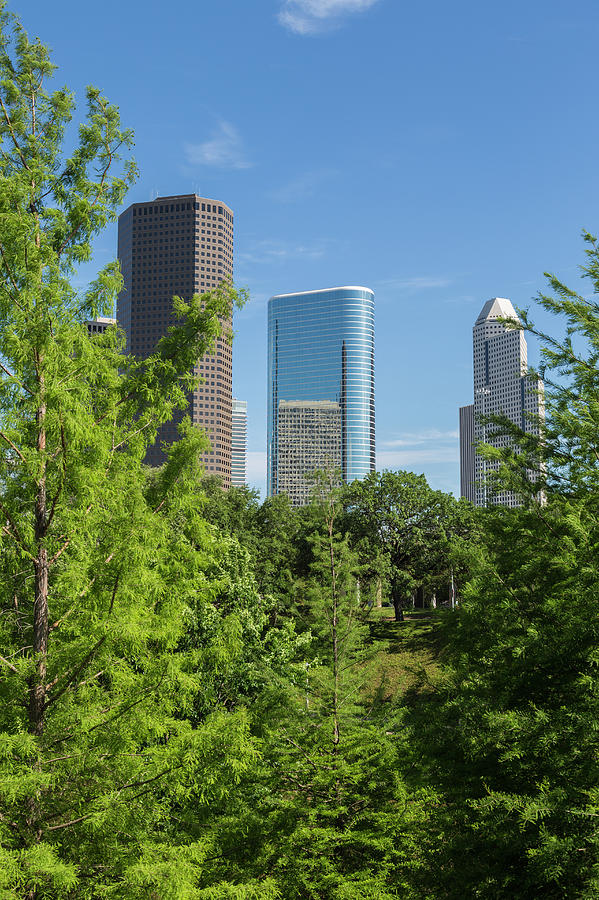 Highrise Buildings Of Houston Skyline Photograph by P A Thompson