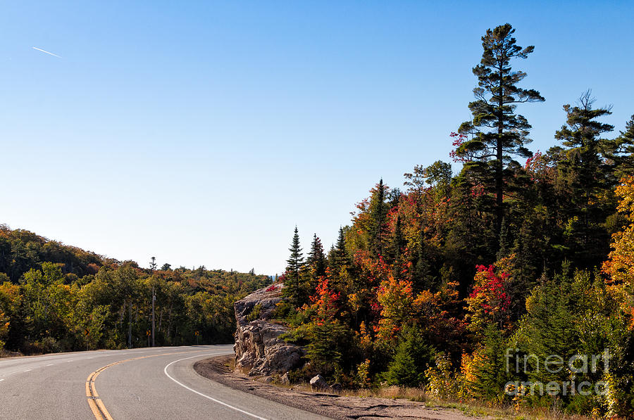 Tree Photograph - Highway 17 north of Lake Superior by Les Palenik