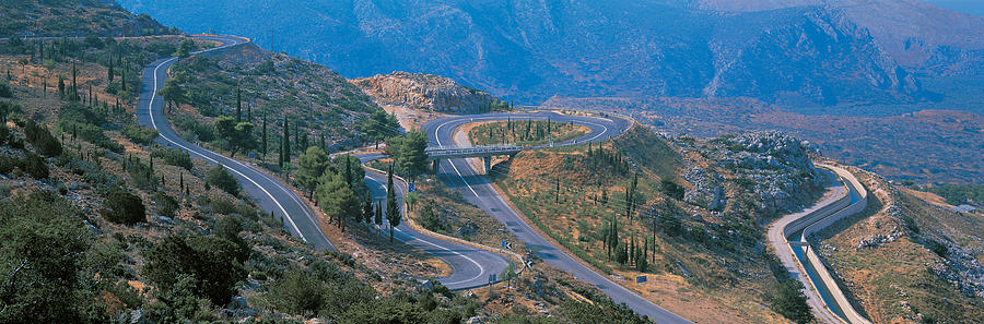 Tree Photograph - Highway Delphi Greece by Panoramic Images