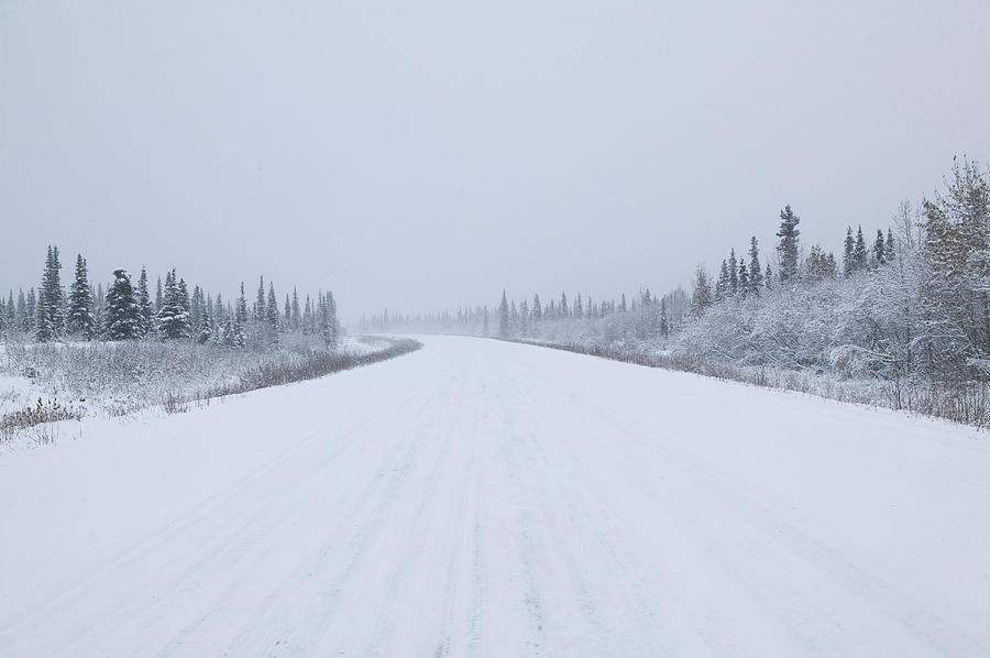 Denali National Park Photograph - Highway Passing Through A Snow Covered by Panoramic Images
