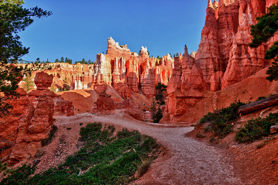 Hike Through The Hoodoos Photograph by Greg Norrell