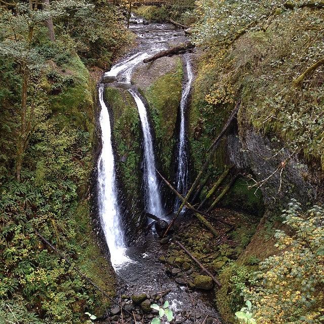 Nature Photograph - Hiked Tripe Falls Today. #nature by Katelyn Gower 