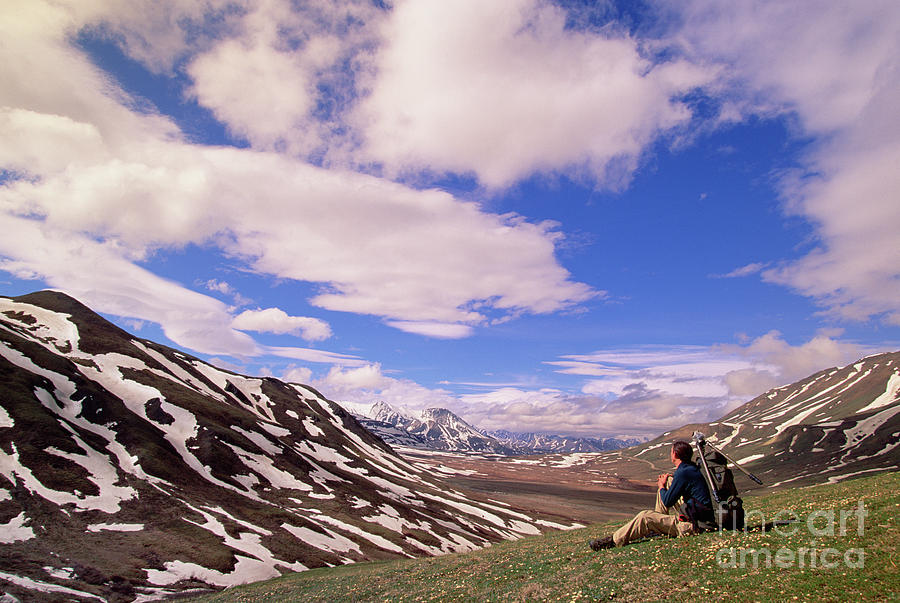 Hiker And The Alaska Range  Photograph by Yva Momatiuk John Eastcott