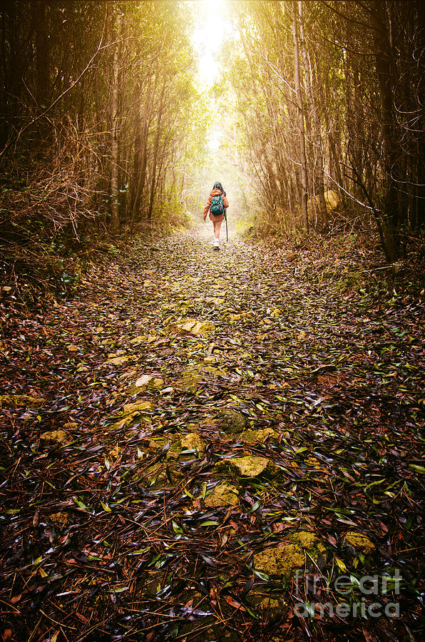 Fall Photograph - Hiker Girl by Carlos Caetano