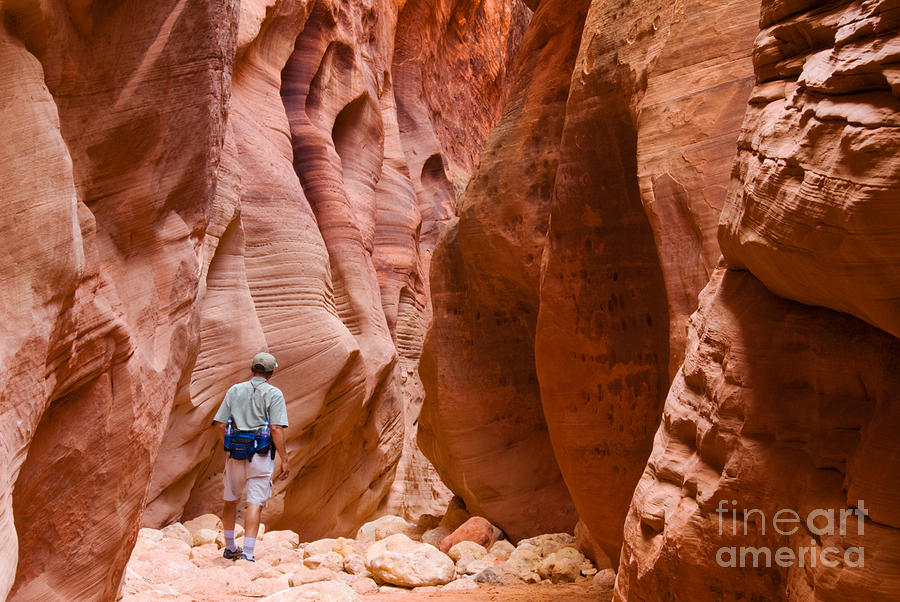 Hiker In Paria Canyon Photograph by Richard and Ellen Thane