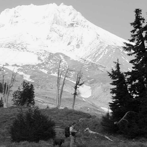 Hiker On Mt Hood Photograph by Richard Call