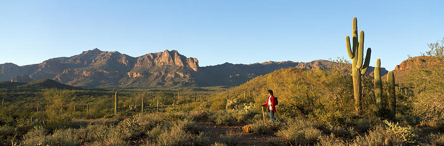 Nature Photograph - Hiker Standing On A Hill, Phoenix by Panoramic Images