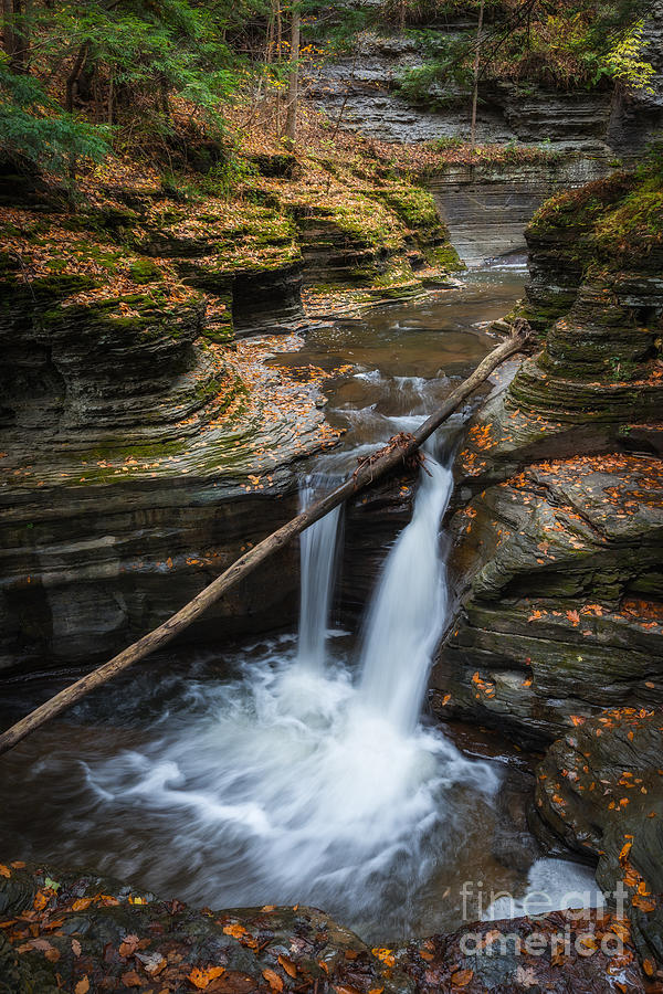 Hiking Buttermilk Falls NY  Photograph by Michael Ver Sprill