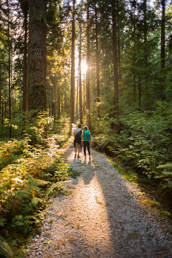 Hiking Father and Daughter Exploring Sunlit Forest Trail in Canada Photograph by PamelaJoeMcFarlane