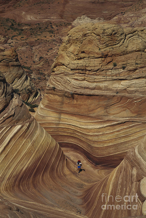 Hiking In Arizona Photograph by Mark Newman
