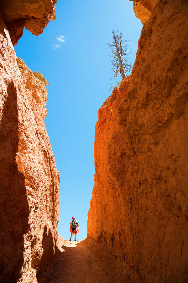 Hiking In Bryce Canyon Photograph