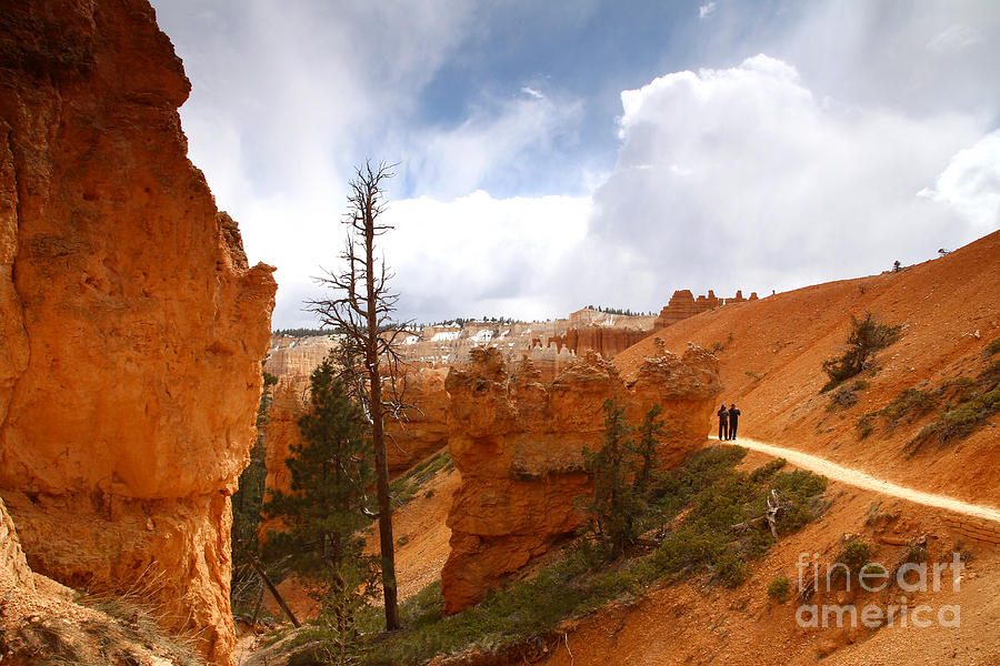 Hiking in Bryce Canyon Photograph by Butch Lombardi