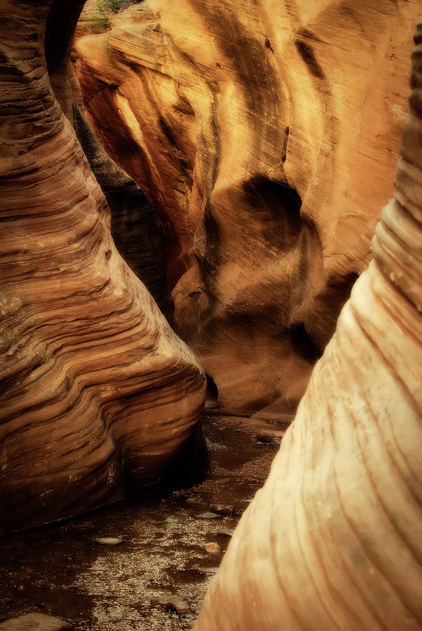 Hiking The Slot Canyon Of The Willis Photograph by Lmk Photography