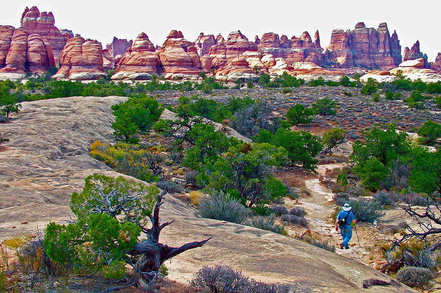 Hiking the Trail to Chesler Park Viewpoint in Needles District of Canyonlands National Park-Utah Photograph by Ruth Hager