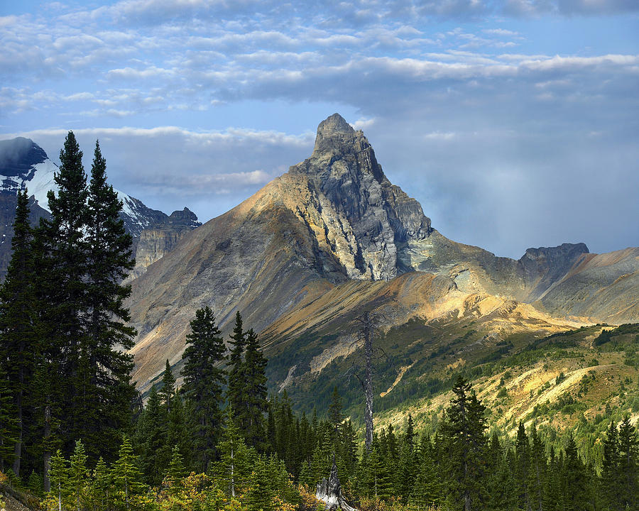 Banff National Park Photograph - Hilda Peak Banff Np Alberta by Tim Fitzharris