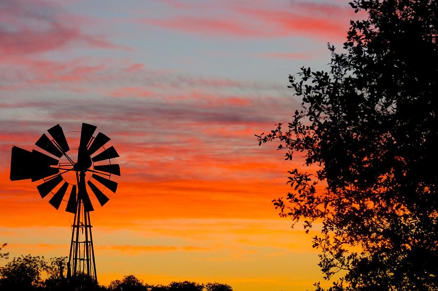 Hill Country Colors Photograph by David  Norman